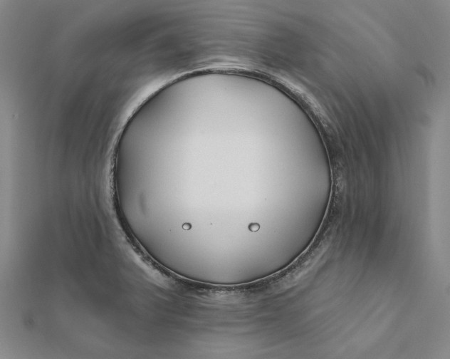 X0000112061375200908251011