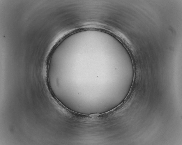 X0000112061376200908251011