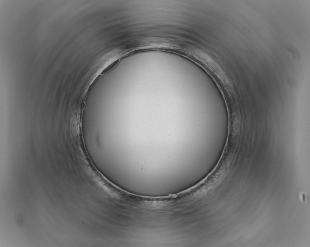 X0000112061377200908251011