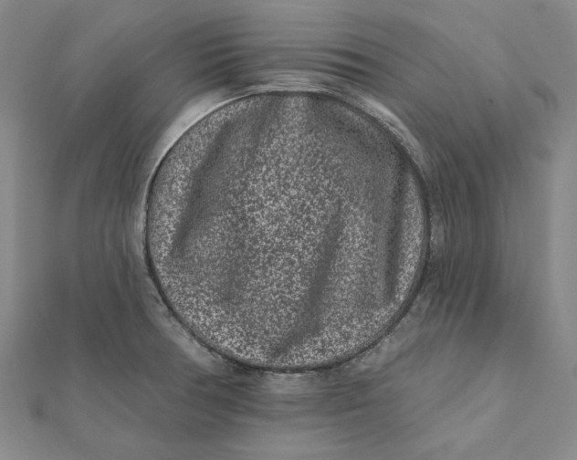 X0000112061378200908251011