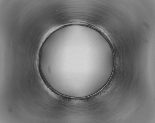 X0000112061379200908251011