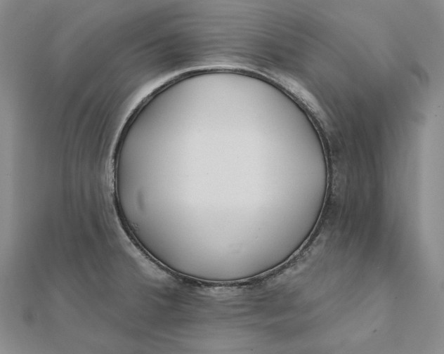 X0000112061380200908251011