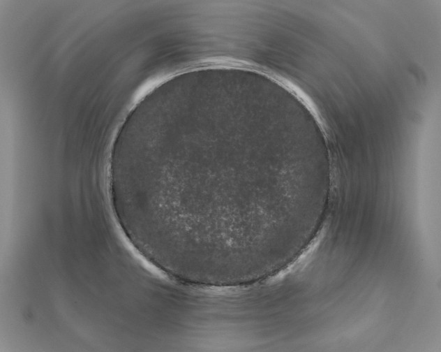 X0000112061381200908251011