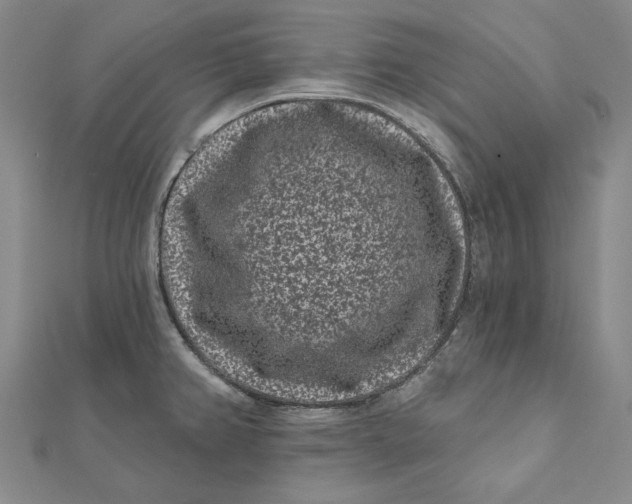 X0000112061382200908251011