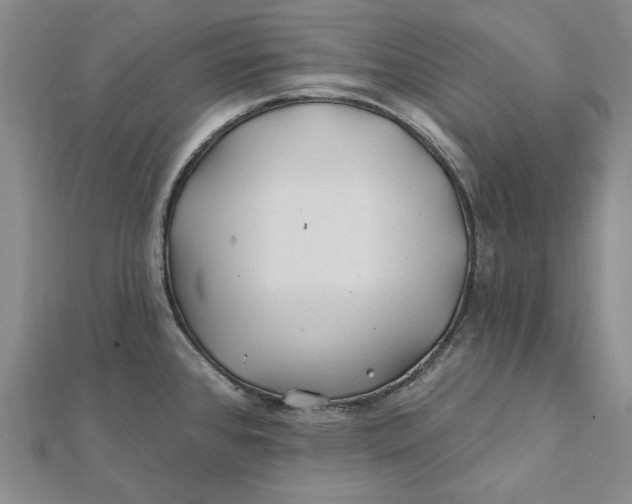 X0000112061384200908251011