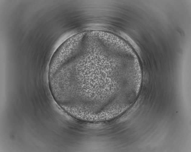 X0000112061386200908251011