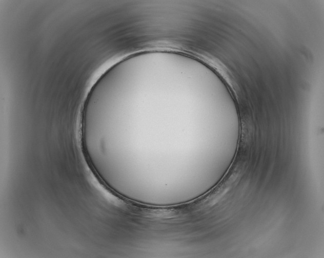 X0000112061387200908251011