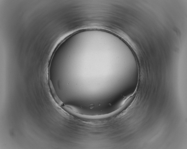 X0000112061388200908251011