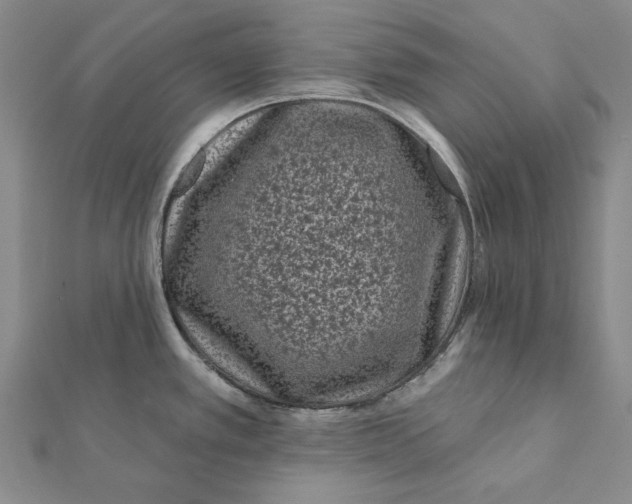 X0000112061389200908251011