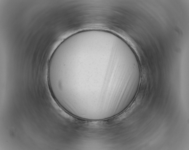 X0000112061390200908251011