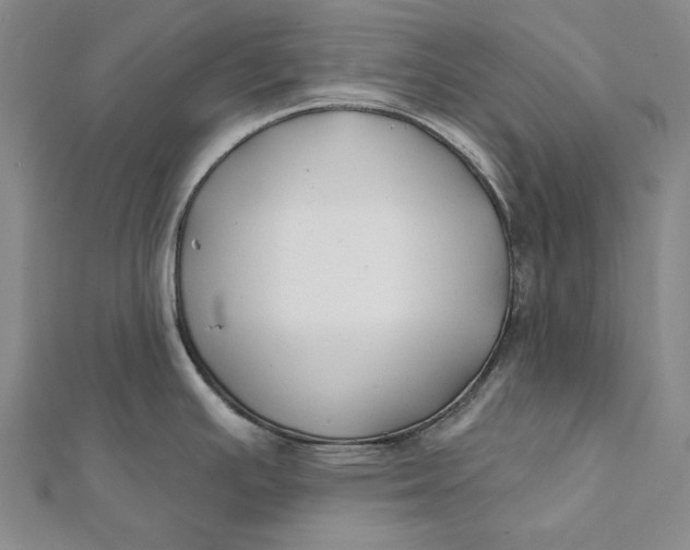 X0000112061391200908251011