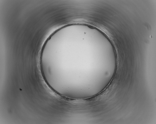 X0000112061392200908251011