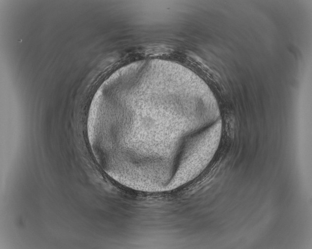 X0000112061393200908251010