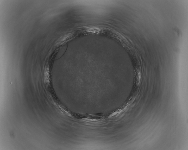 X0000112061394200908251010