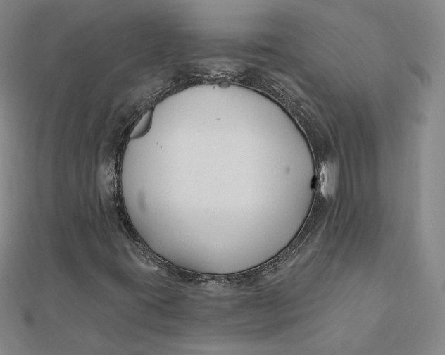 X0000112061395200908251010