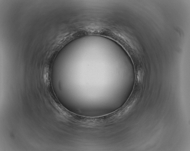 X0000112061396200908251010