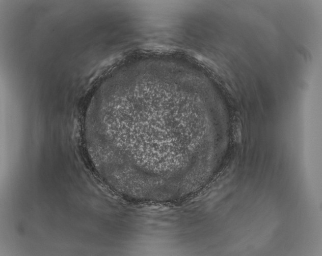 X0000112061397200908251010