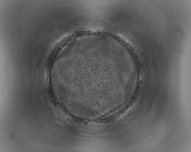 X0000112061398200908251010