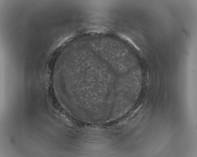 X0000112061399200908251010