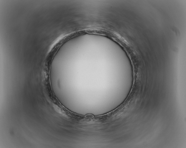 X0000112061400200908251010