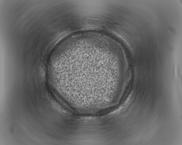 X0000112061401200908251010