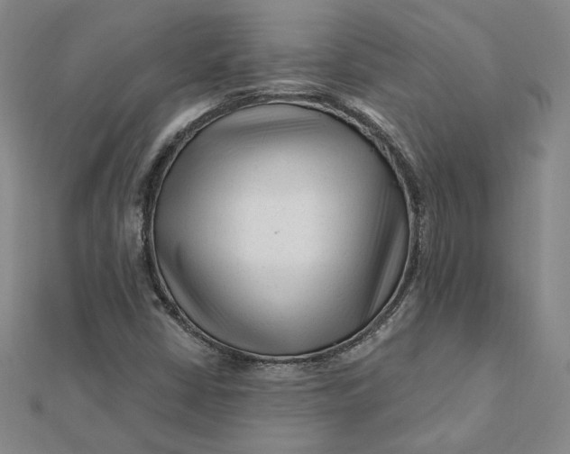 X0000112061402200908251010