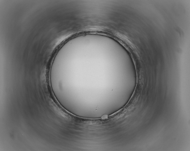 X0000112061404200908251010