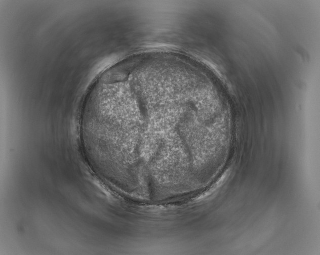 X0000112061405200908251010