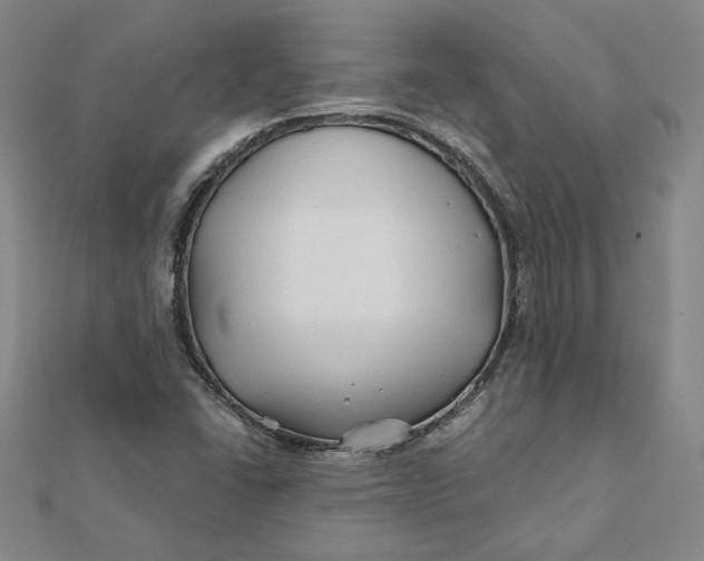 X0000112061406200908251010