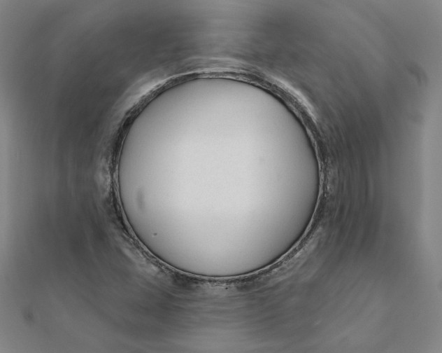 X0000112061407200908251010