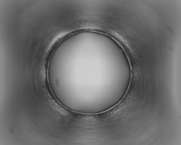 X0000112061408200908251010