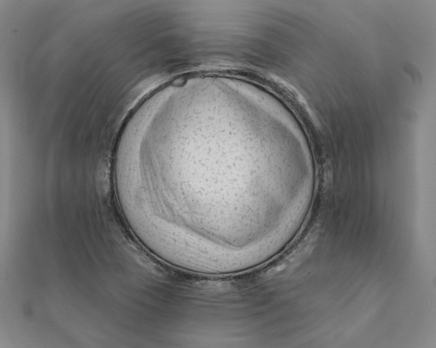 X0000112061409200908251010