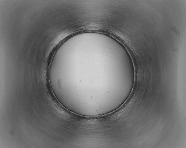 X0000112061410200908251010