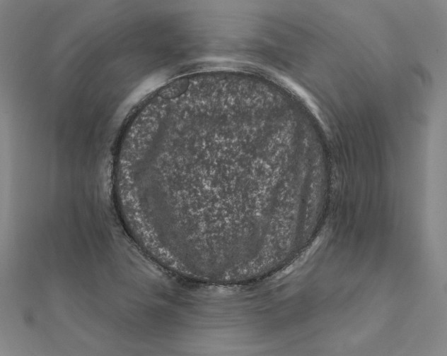 X0000112061411200908251010