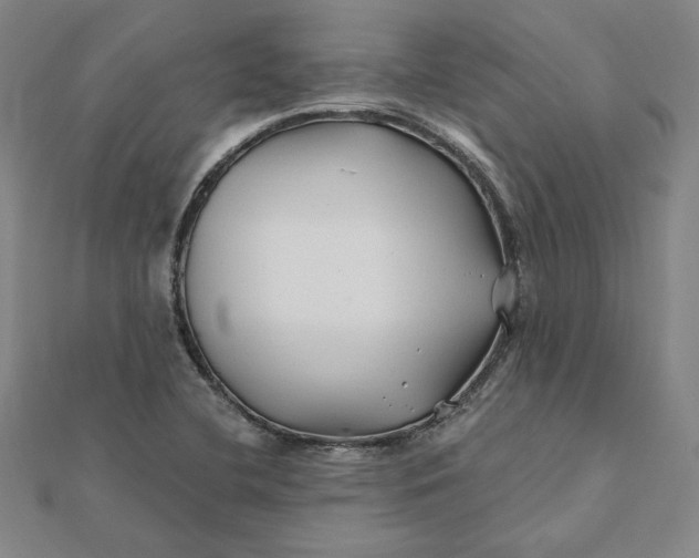 X0000112061412200908251010