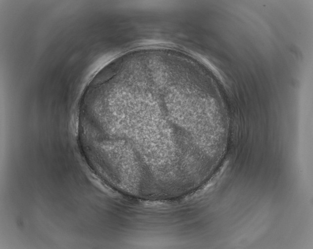 X0000112061413200908251010