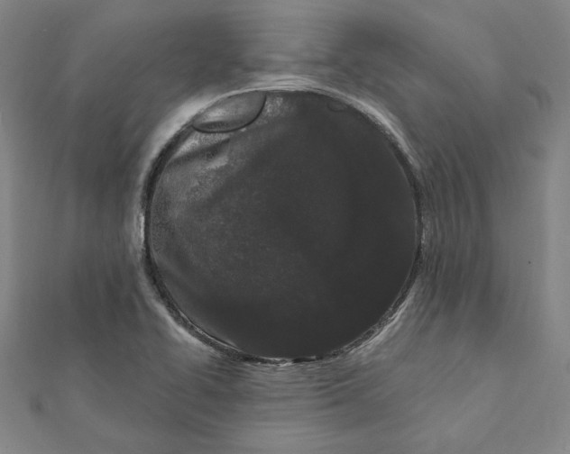 X0000112061414200908251010