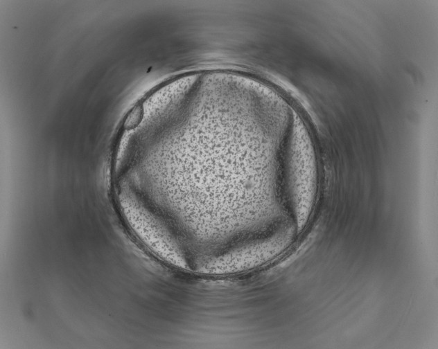 X0000112061415200908251010