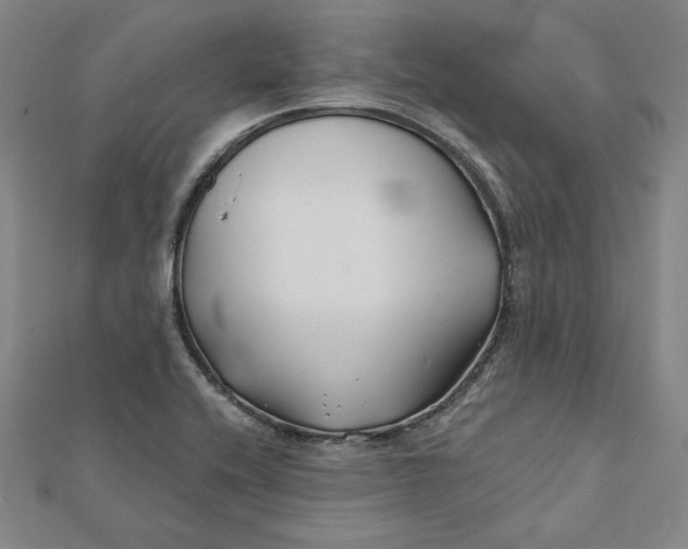 X0000112061416200908251010