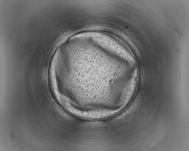 X0000112061417200908251010