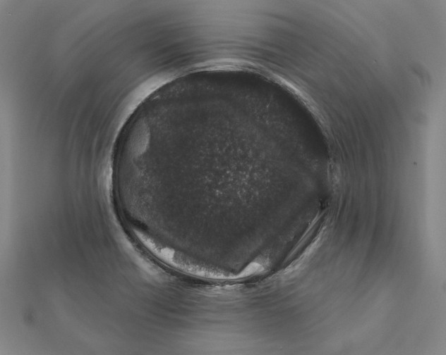 X0000112061418200908251010