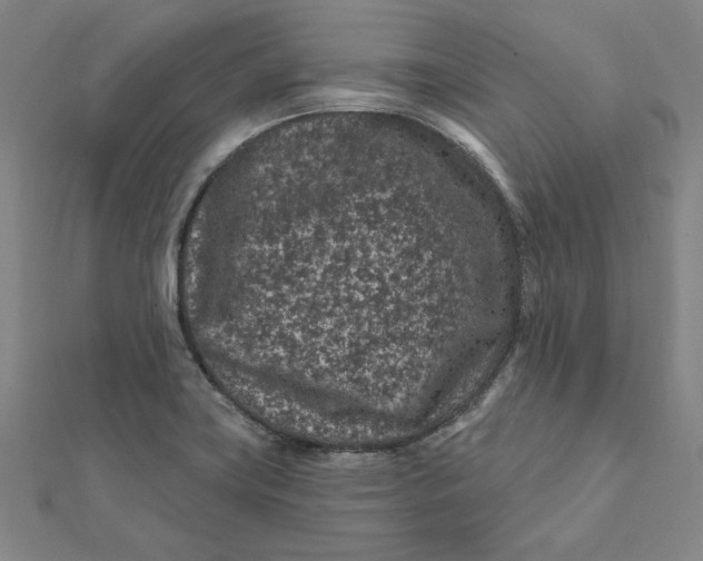 X0000112061419200908251010