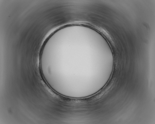 X0000112061420200908251010