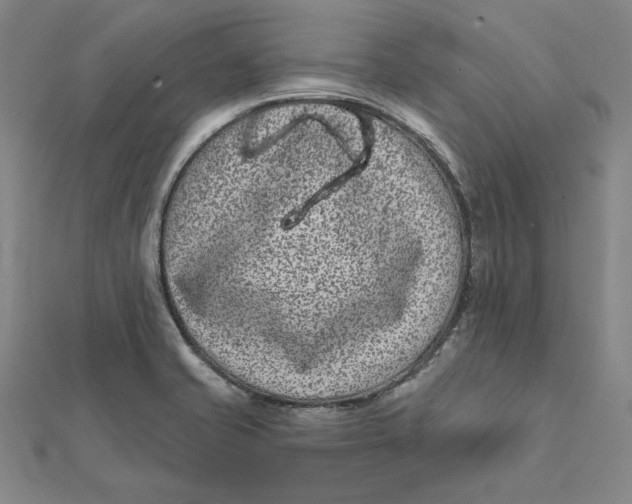 X0000112061421200908251010