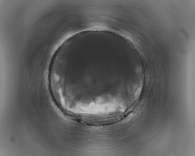 X0000112061422200908251010