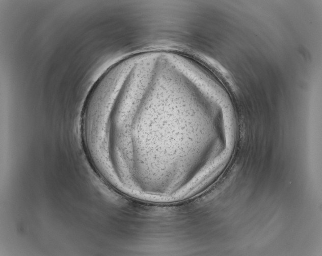 X0000112061423200908251010