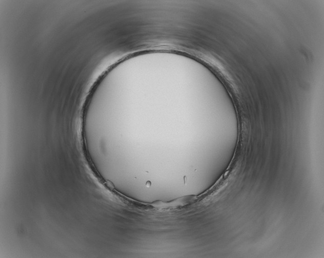 X0000112061424200908251010