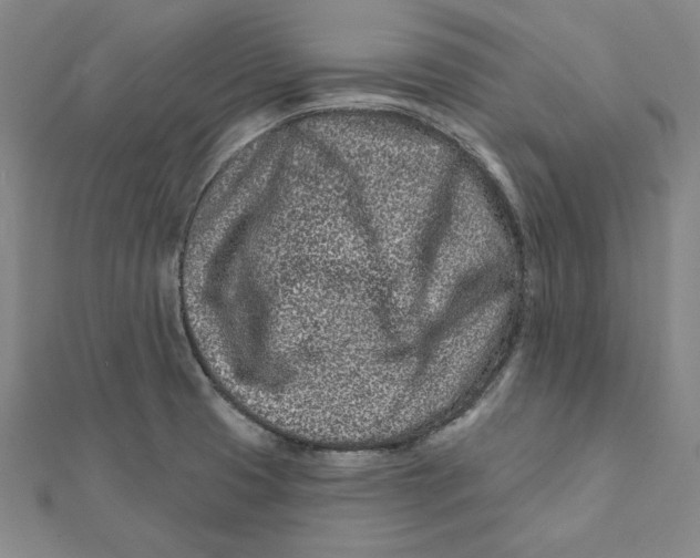 X0000112061425200908251010