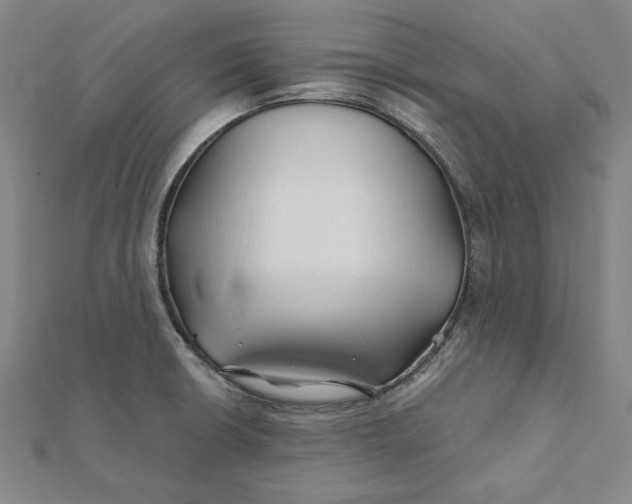 X0000112061426200908251010