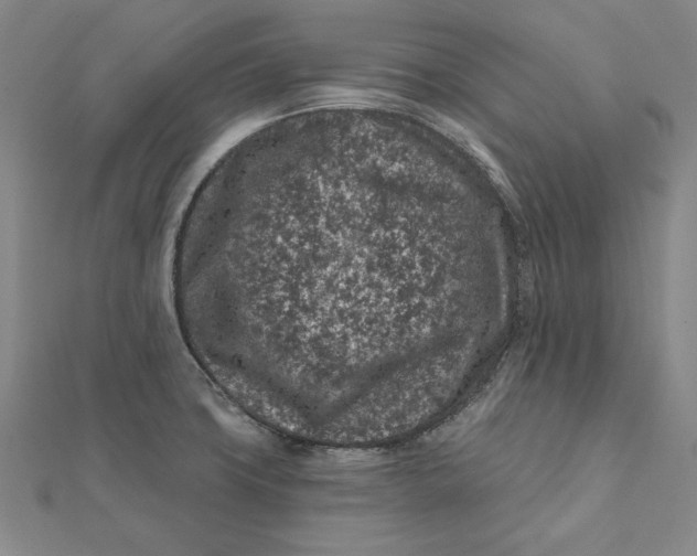 X0000112061427200908251010